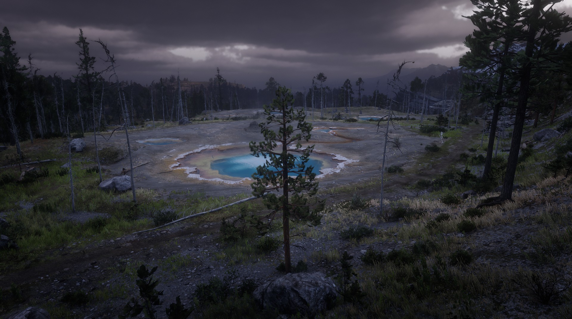 Cotorra Springs RED DEAD REDEMPTION 2 情報&攻略 wiki RDR2 atwiki（アットウィキ）